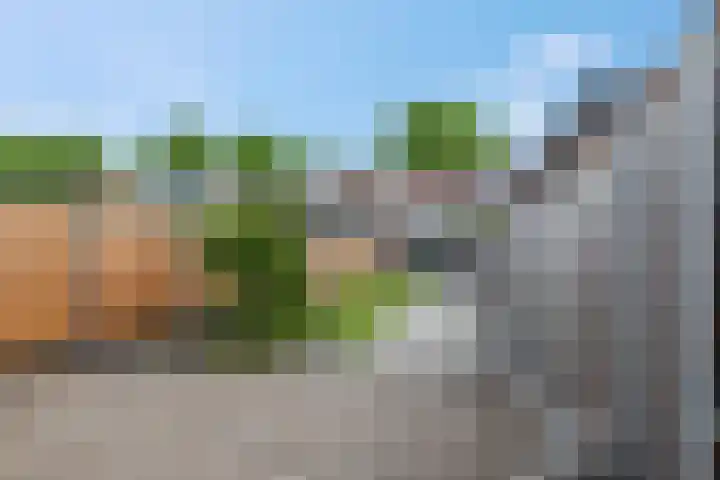Groen van Prinstererstraat 16 Veenendaal thumbnail 39