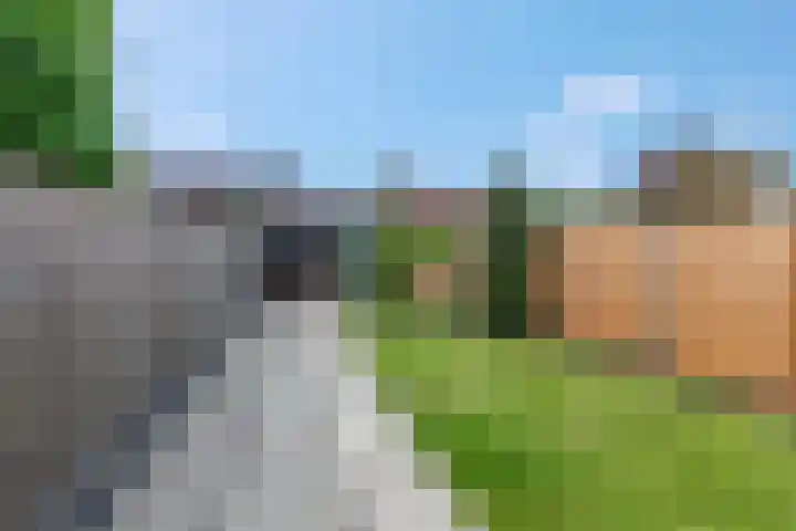 Groen van Prinstererstraat 16 Veenendaal thumbnail 4