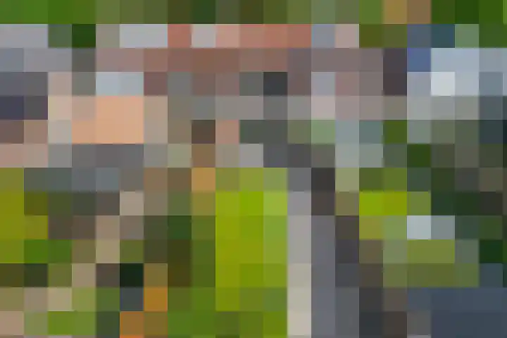 Groen van Prinstererstraat 16 Veenendaal thumbnail 42