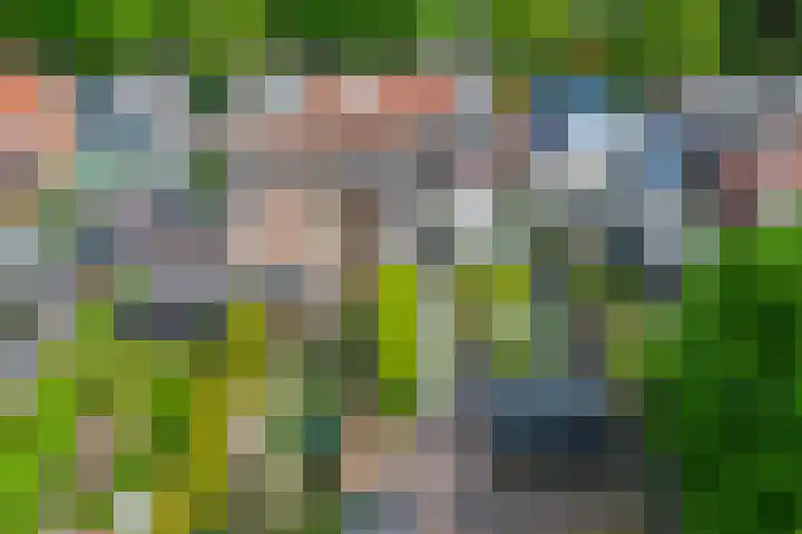 Groen van Prinstererstraat 16 Veenendaal thumbnail 43
