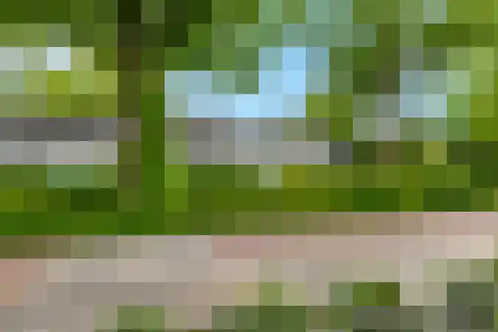 Groen van Prinstererstraat 16 Veenendaal thumbnail 45