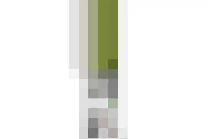 Groen van Prinstererstraat 16 Veenendaal thumbnail 51