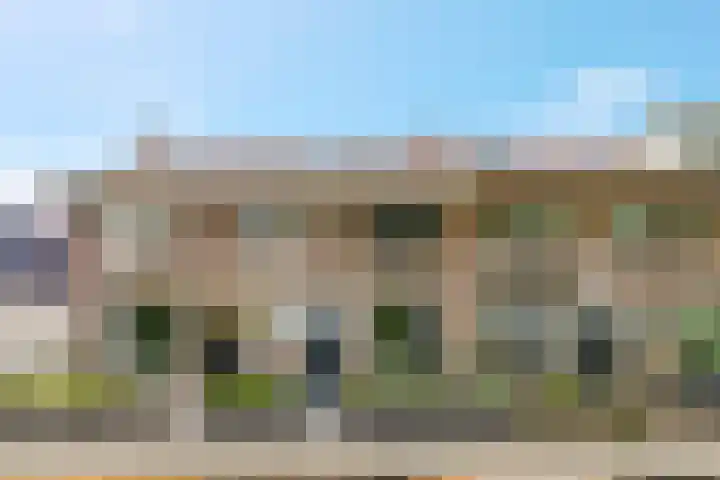 Groen van Prinstererstraat 16 Veenendaal thumbnail 57