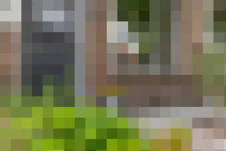 Groen van Prinstererstraat 16 Veenendaal thumbnail 7