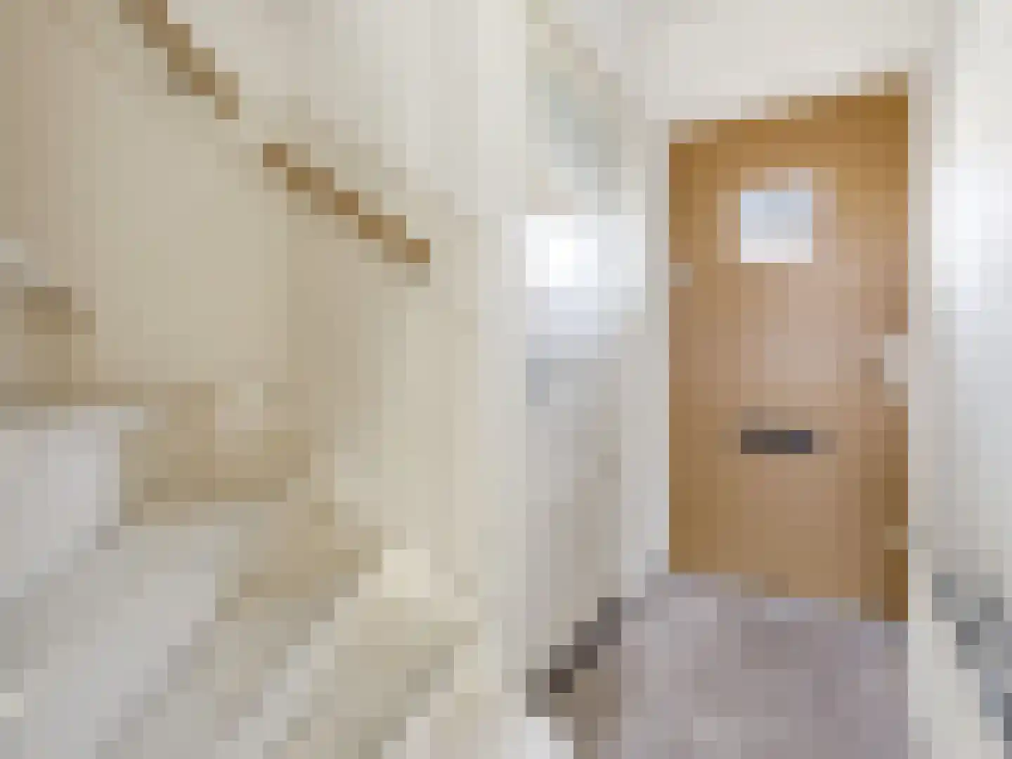 Groen van Prinstererstraat 17 Zutphen thumbnail 5