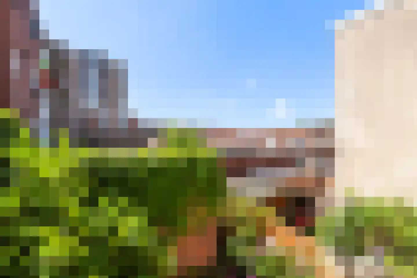 Groen van Prinstererstraat 180 Vlaardingen thumbnail 17