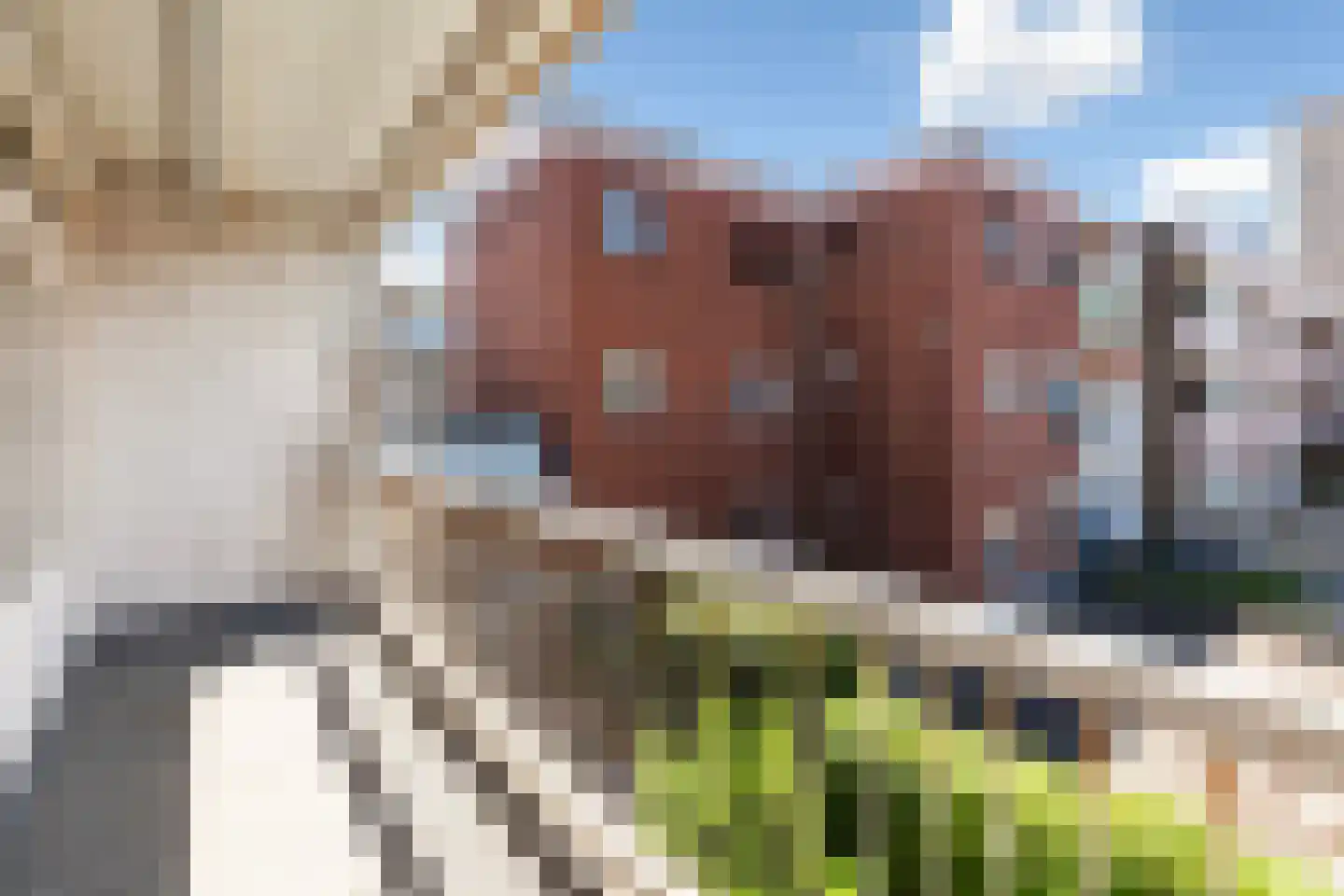 Groen van Prinstererstraat 180 Vlaardingen thumbnail 25