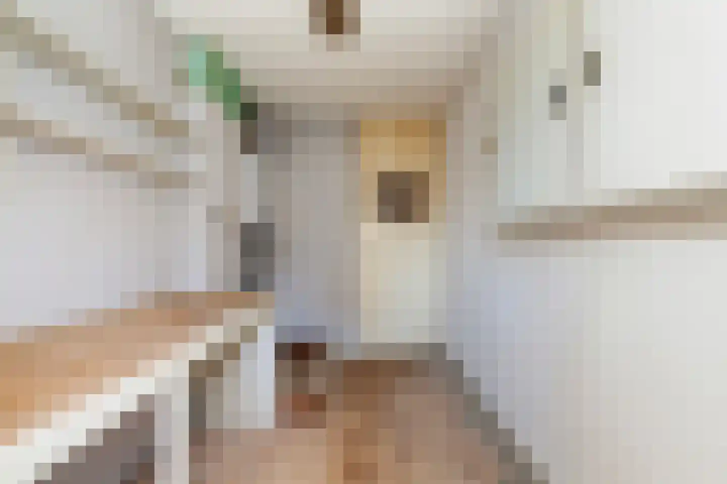 Groen van Prinstererstraat 180 Vlaardingen thumbnail 28