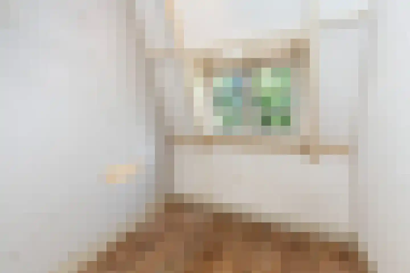 Groen van Prinstererstraat 180 Vlaardingen thumbnail 29