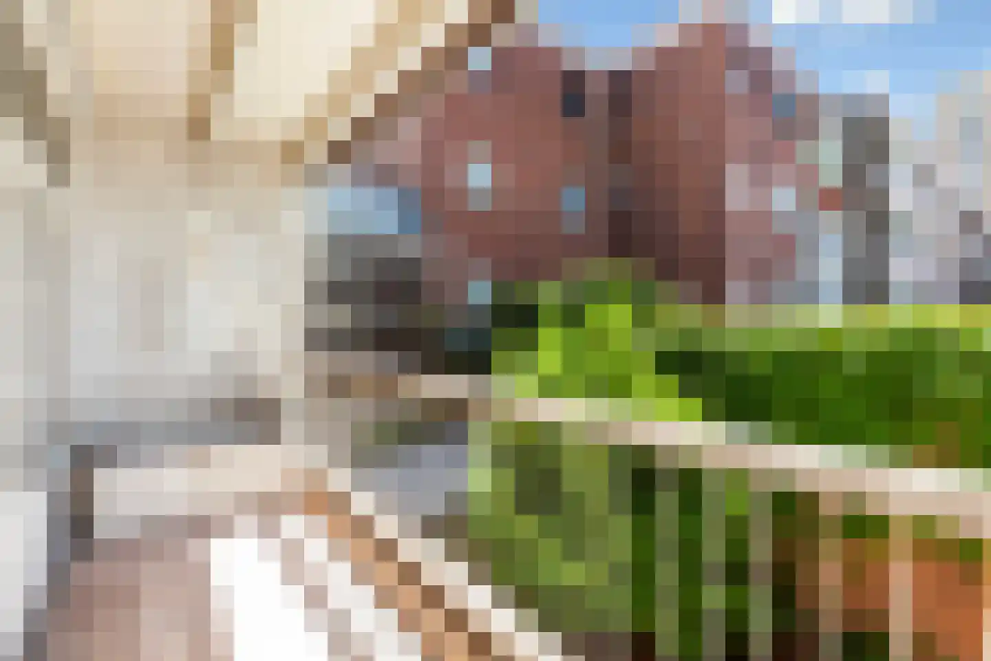 Groen van Prinstererstraat 180 Vlaardingen foto 3