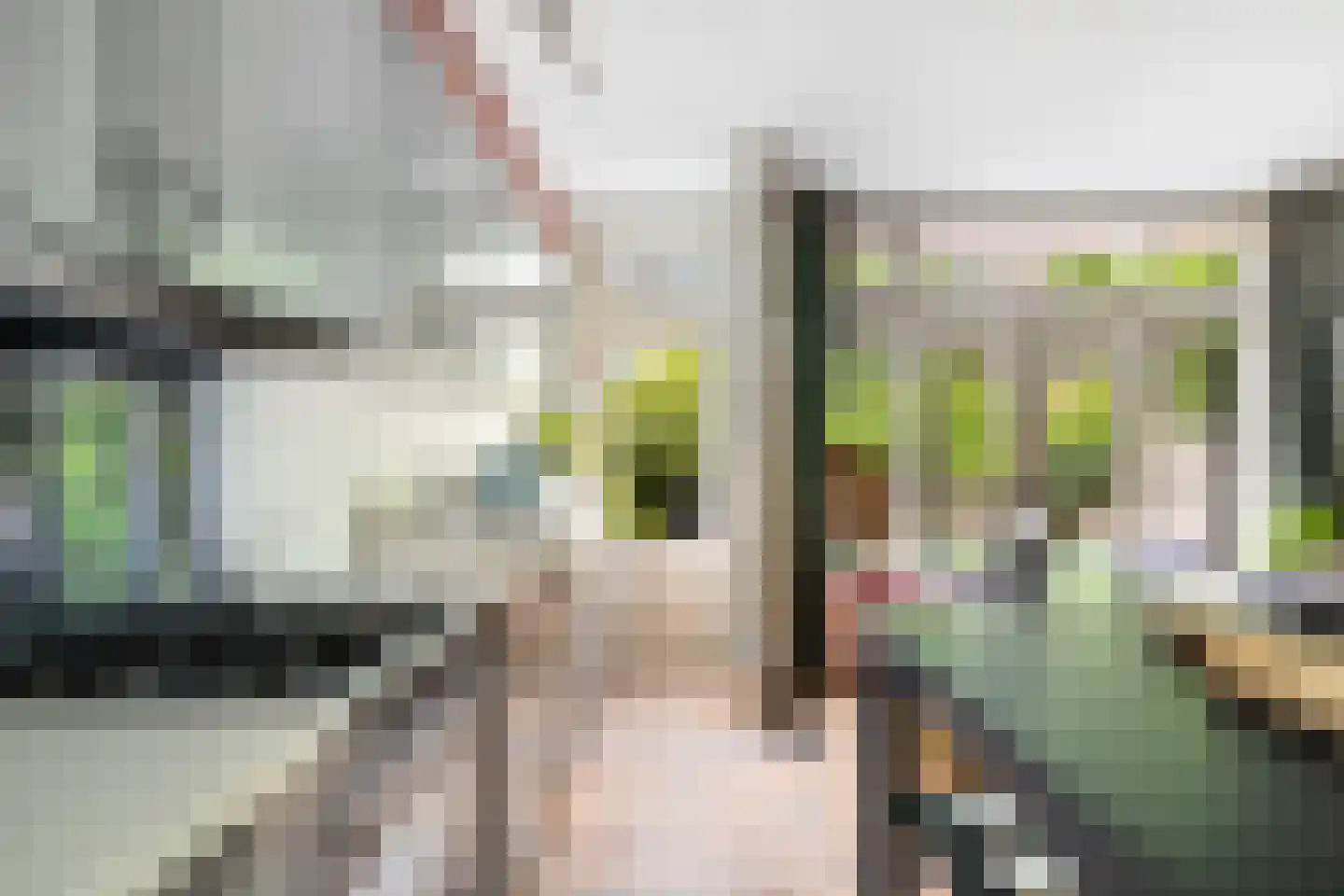 Groen van Prinstererstraat 19 B 02 Rotterdam thumbnail 15