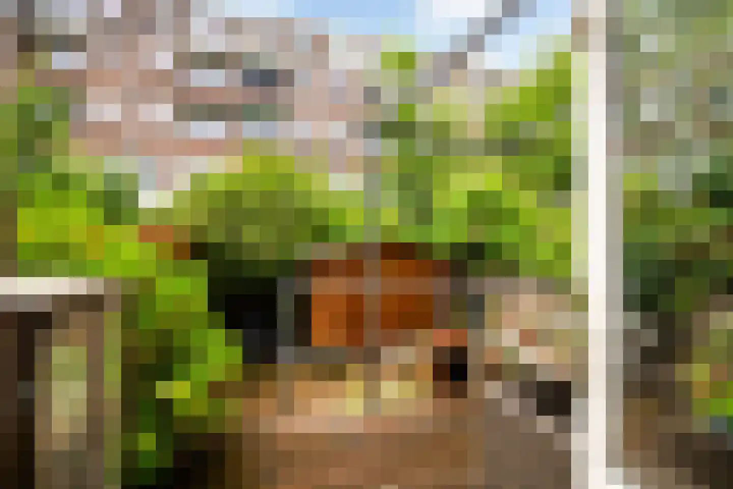 Groen van Prinstererstraat 19 B 02 Rotterdam thumbnail 17