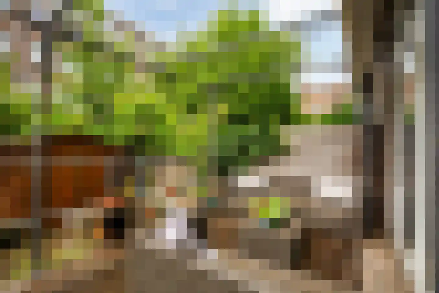 Groen van Prinstererstraat 19 B 02 Rotterdam thumbnail 18