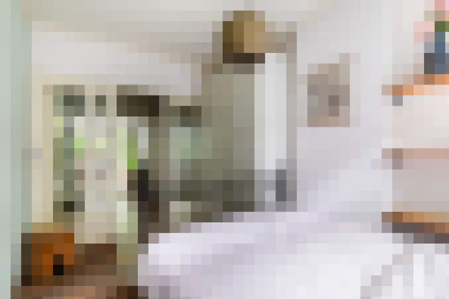 Groen van Prinstererstraat 19 B 02 Rotterdam thumbnail 24