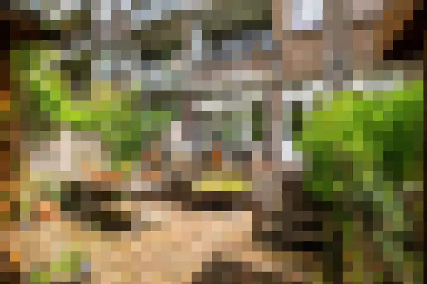 Groen van Prinstererstraat 19 B 02 Rotterdam thumbnail 29