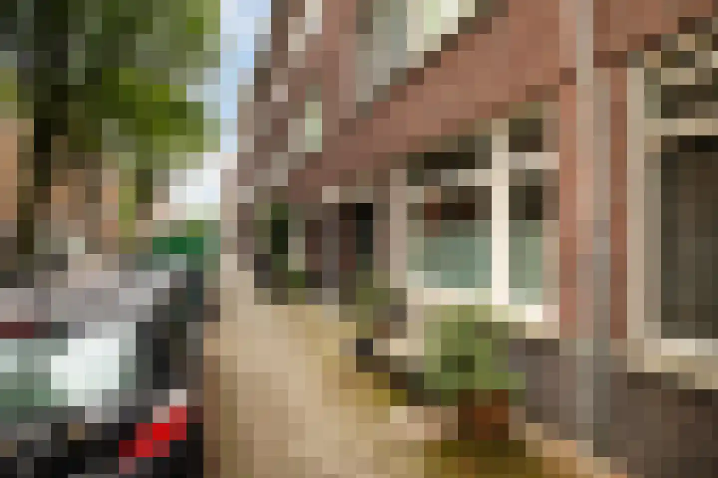Groen van Prinstererstraat 19 B 02 Rotterdam thumbnail 35