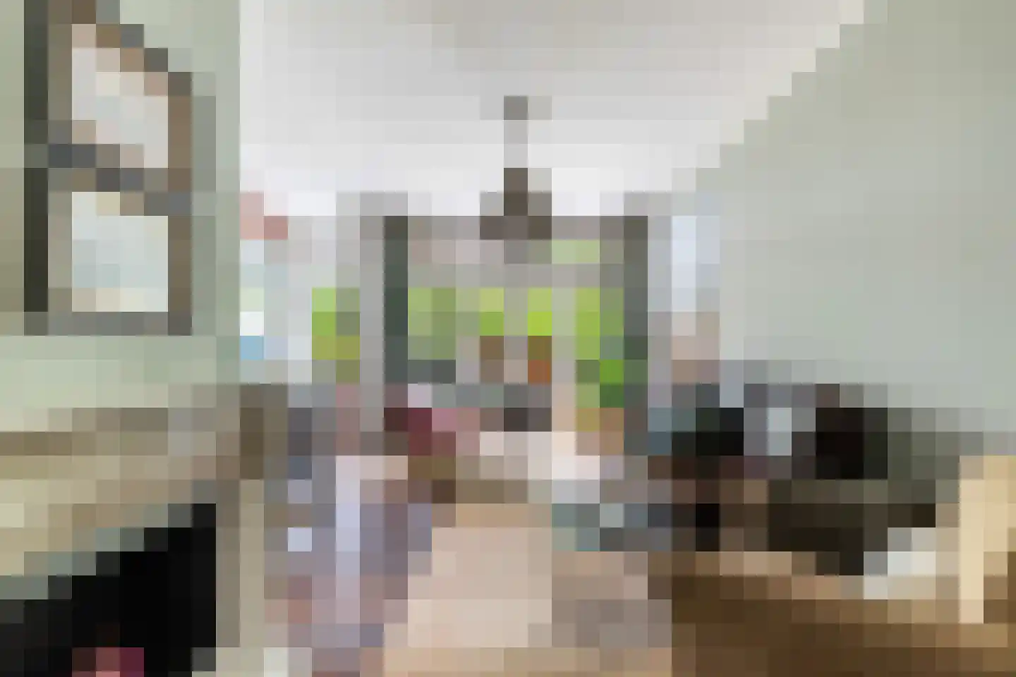 Groen van Prinstererstraat 19 B 02 Rotterdam thumbnail 8