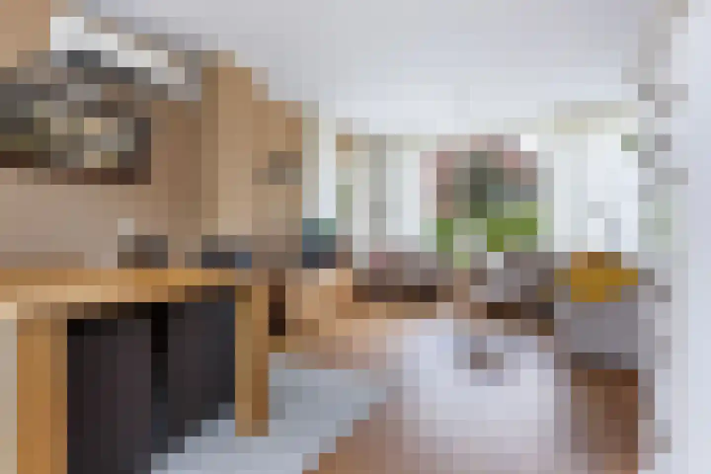 Groen van Prinstererstraat 19 Sneek thumbnail 13
