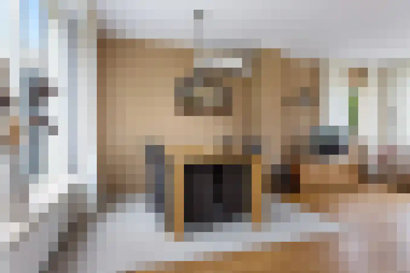 Groen van Prinstererstraat 19 Sneek thumbnail 15