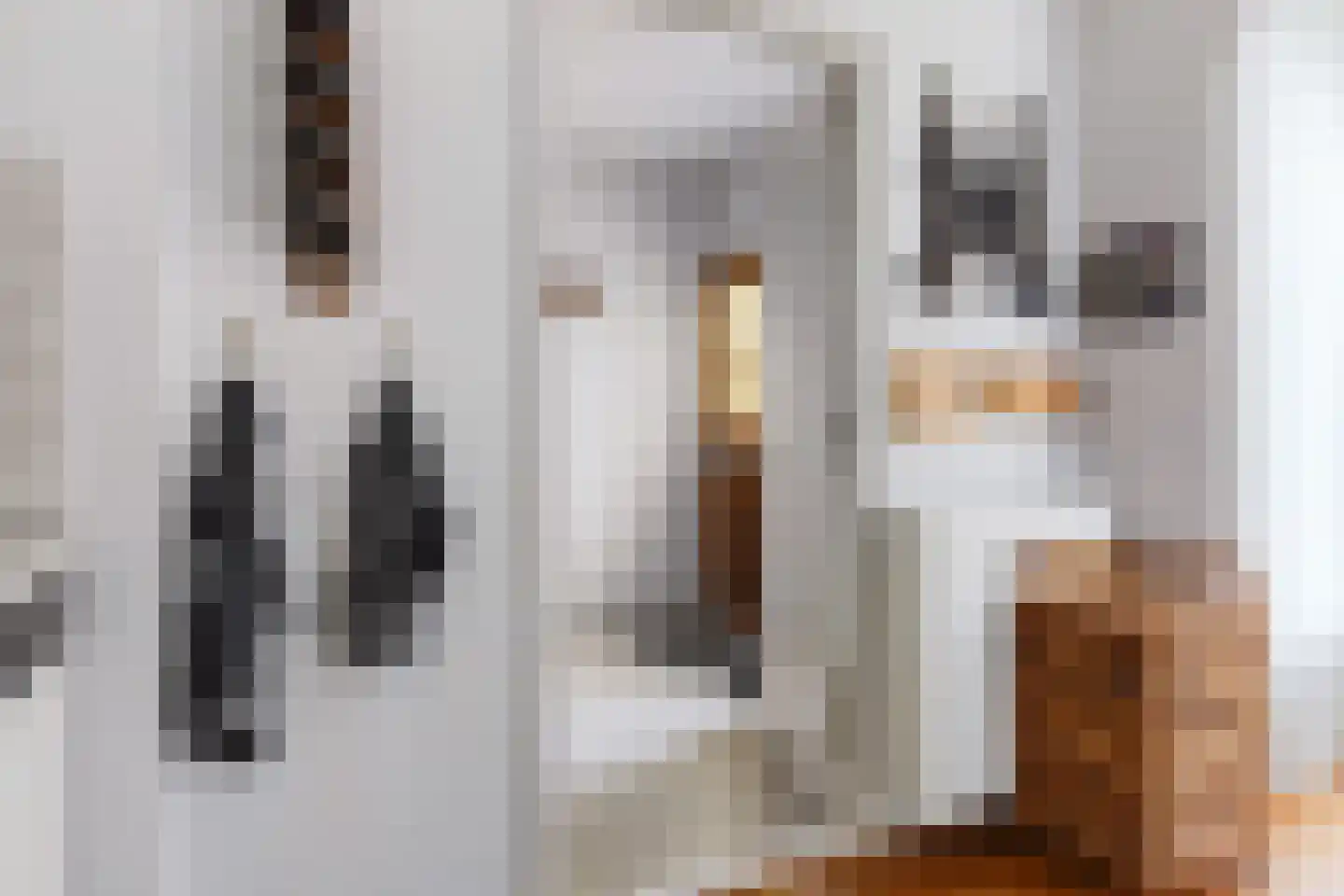 Groen van Prinstererstraat 19 Sneek thumbnail 17
