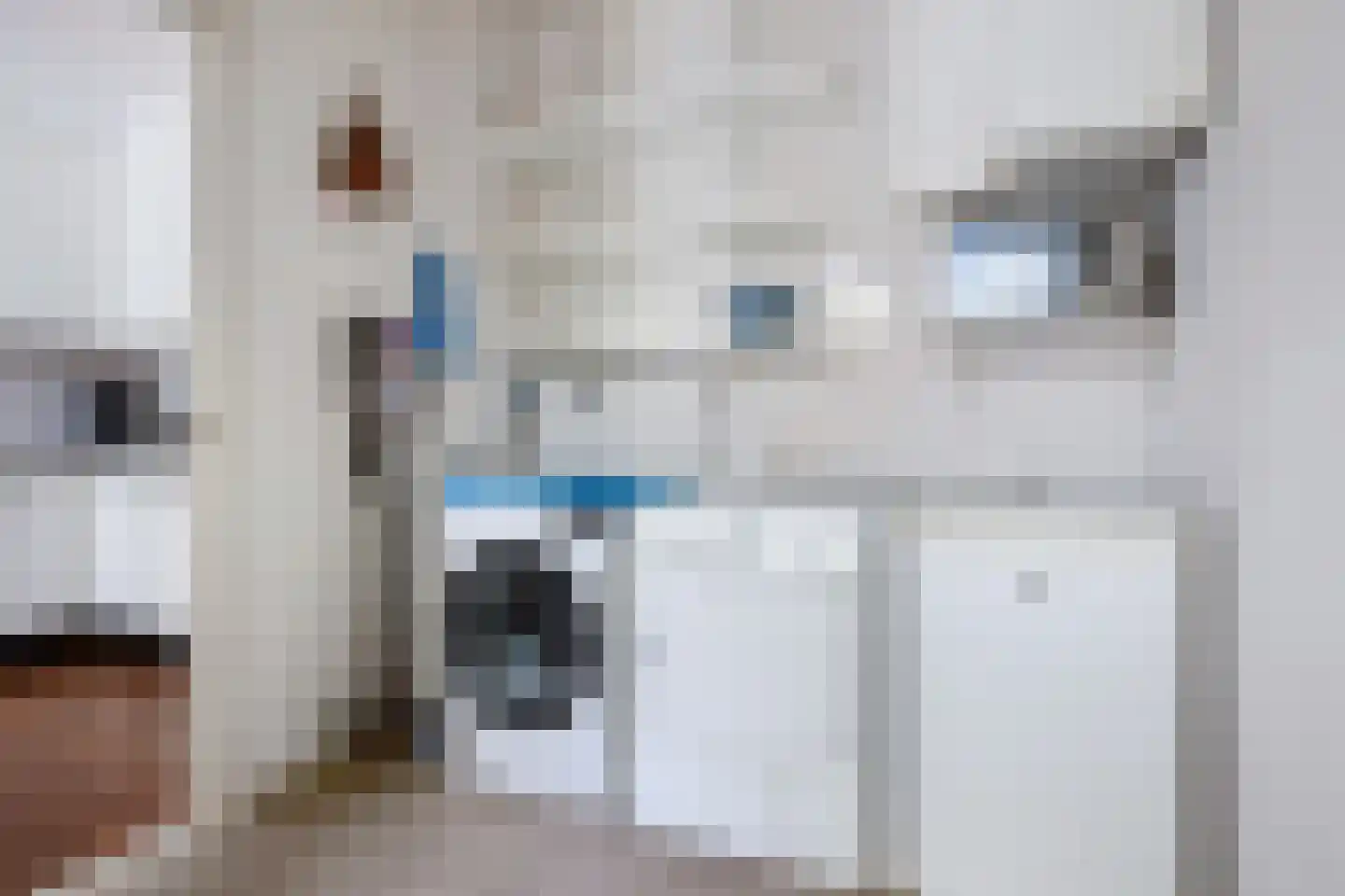 Groen van Prinstererstraat 19 Sneek thumbnail 18