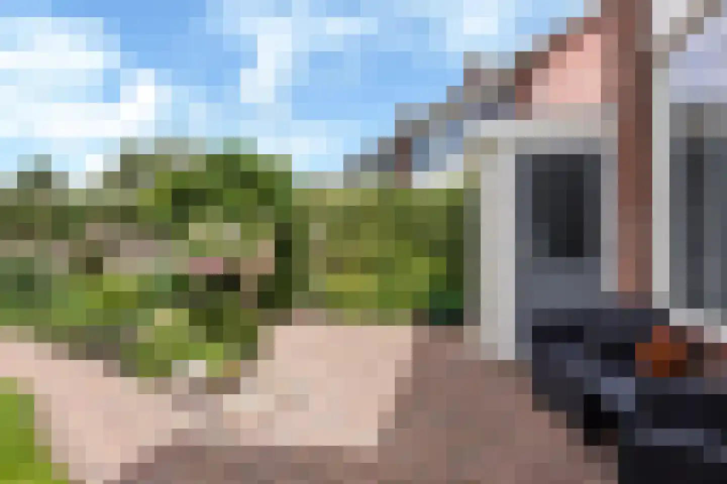 Groen van Prinstererstraat 19 Sneek thumbnail 20