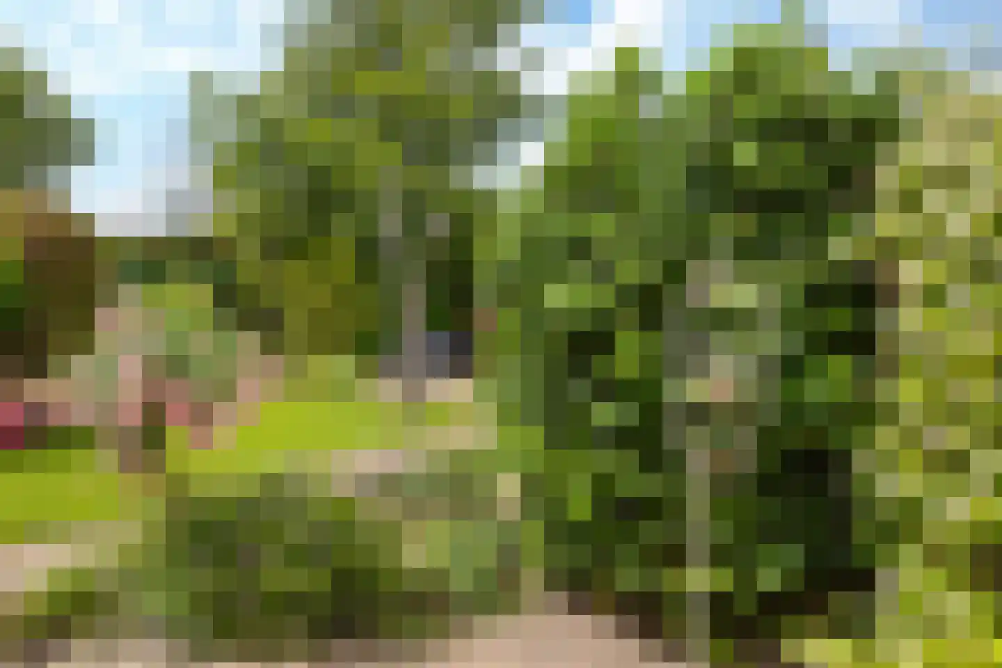 Groen van Prinstererstraat 19 Sneek thumbnail 21