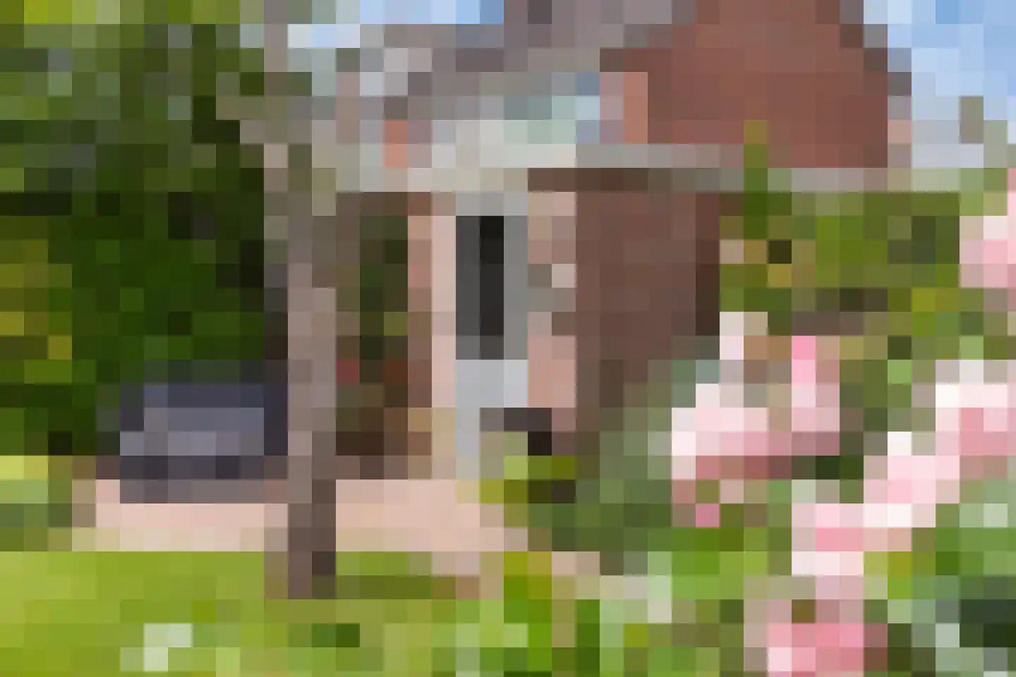 Groen van Prinstererstraat 19 Sneek thumbnail 22