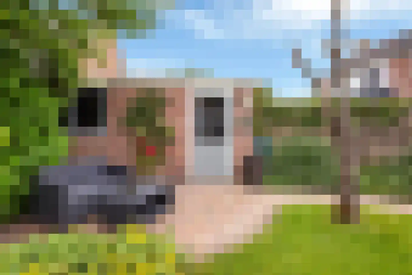 Groen van Prinstererstraat 19 Sneek thumbnail 23