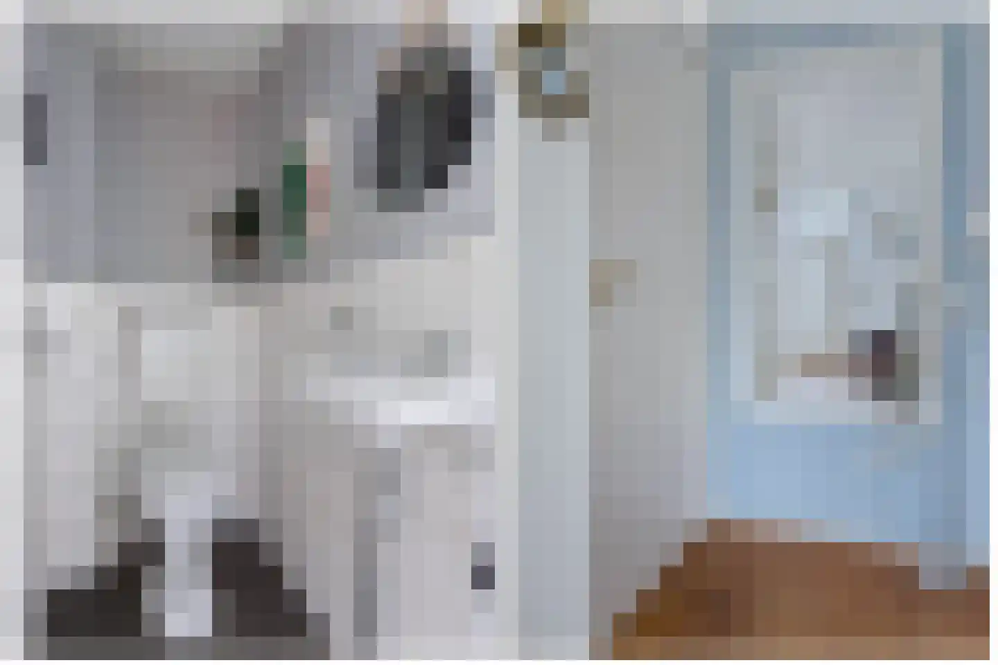 Groen van Prinstererstraat 19 Sneek thumbnail 24