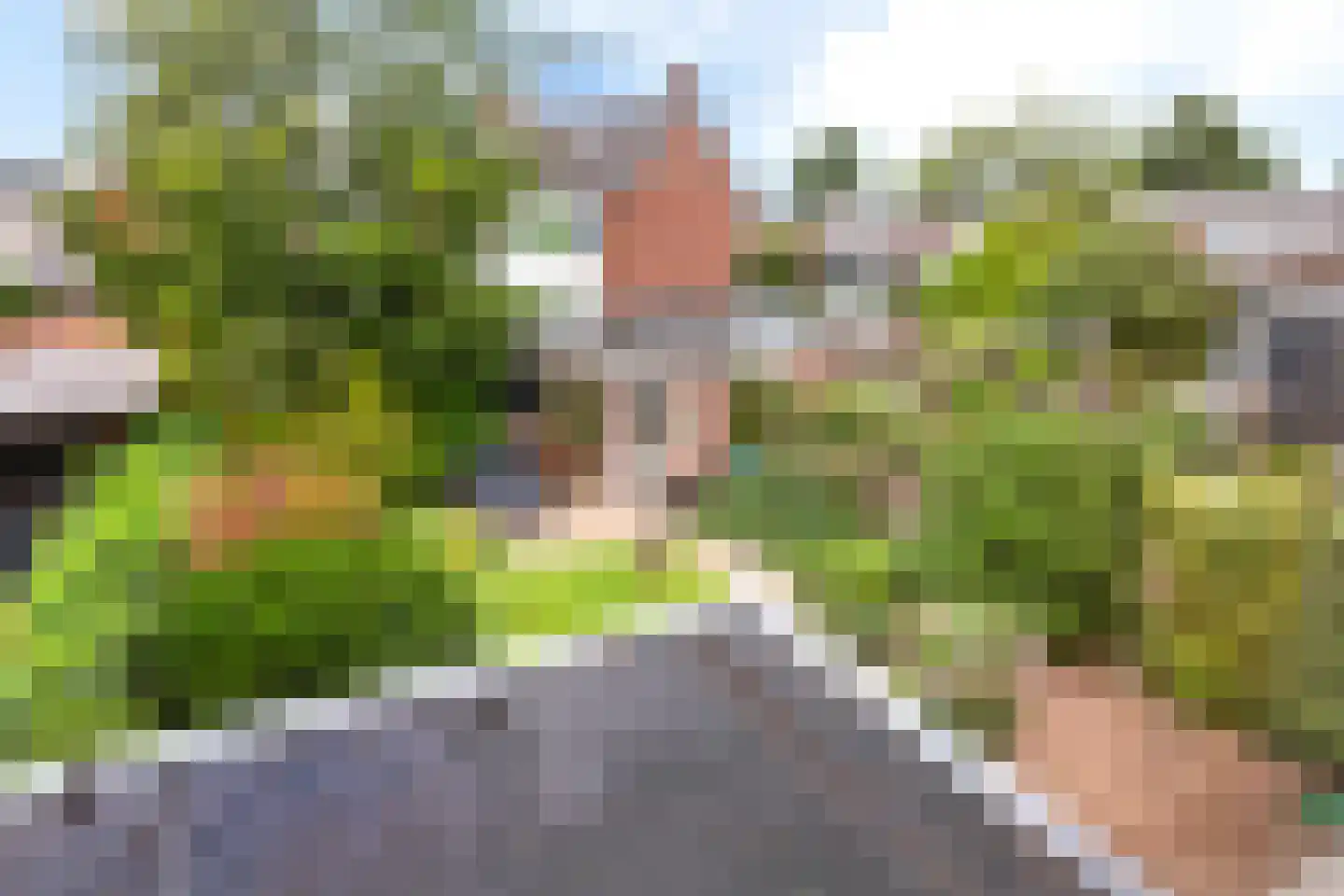 Groen van Prinstererstraat 19 Sneek thumbnail 34