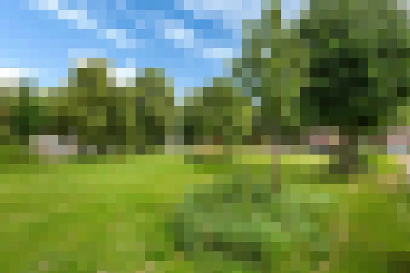 Groen van Prinstererstraat 19 Sneek thumbnail 38