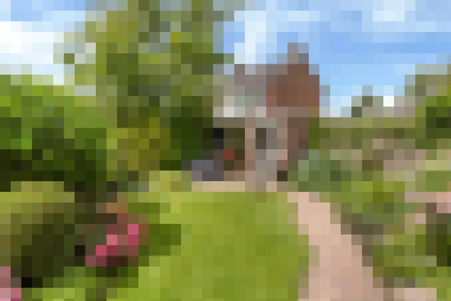 Groen van Prinstererstraat 19 Sneek thumbnail 4