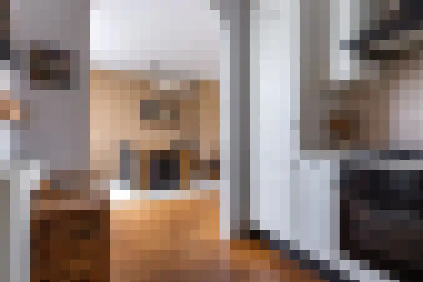 Groen van Prinstererstraat 19 Sneek thumbnail 7