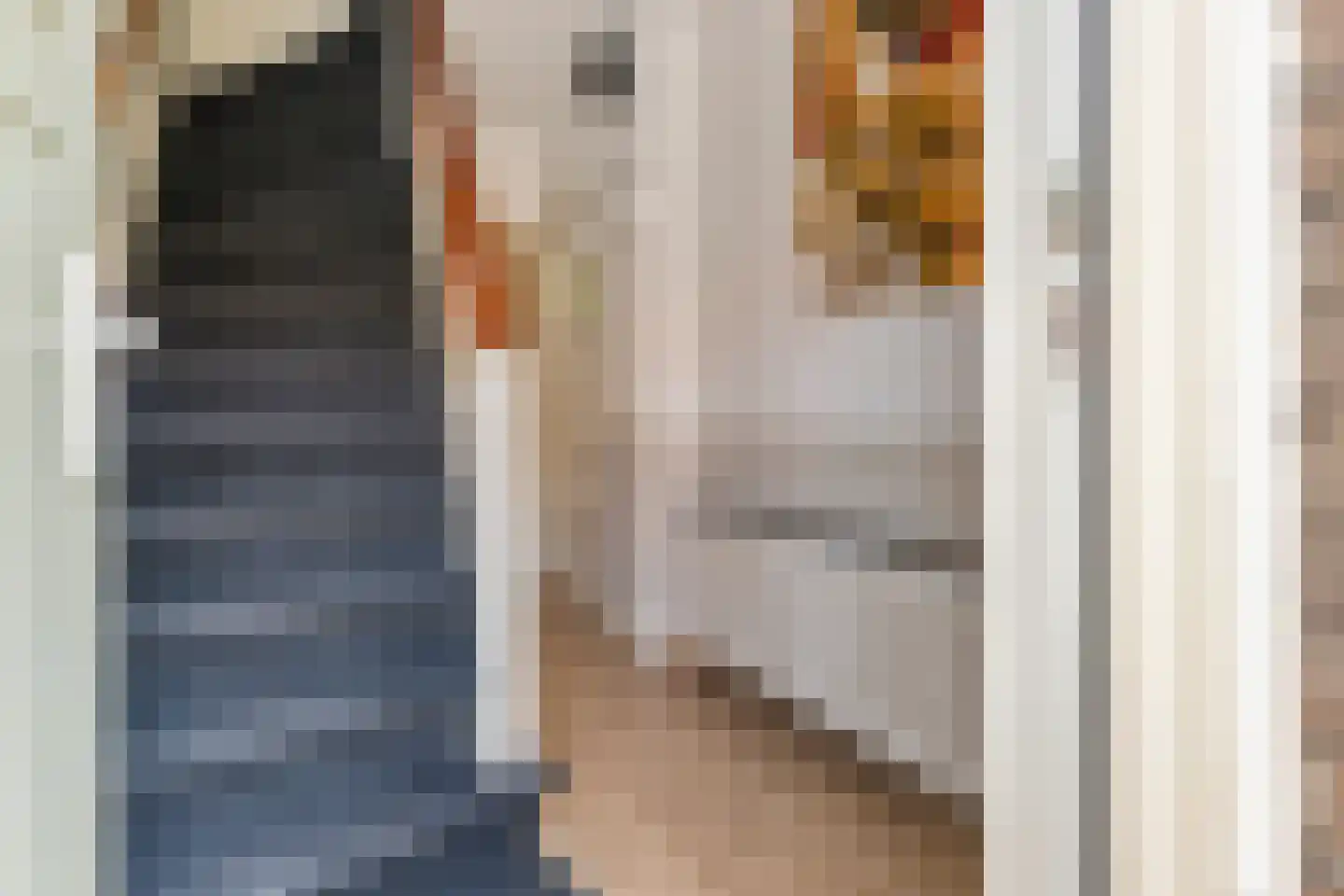 Groen van Prinstererstraat 19 Utrecht thumbnail 12