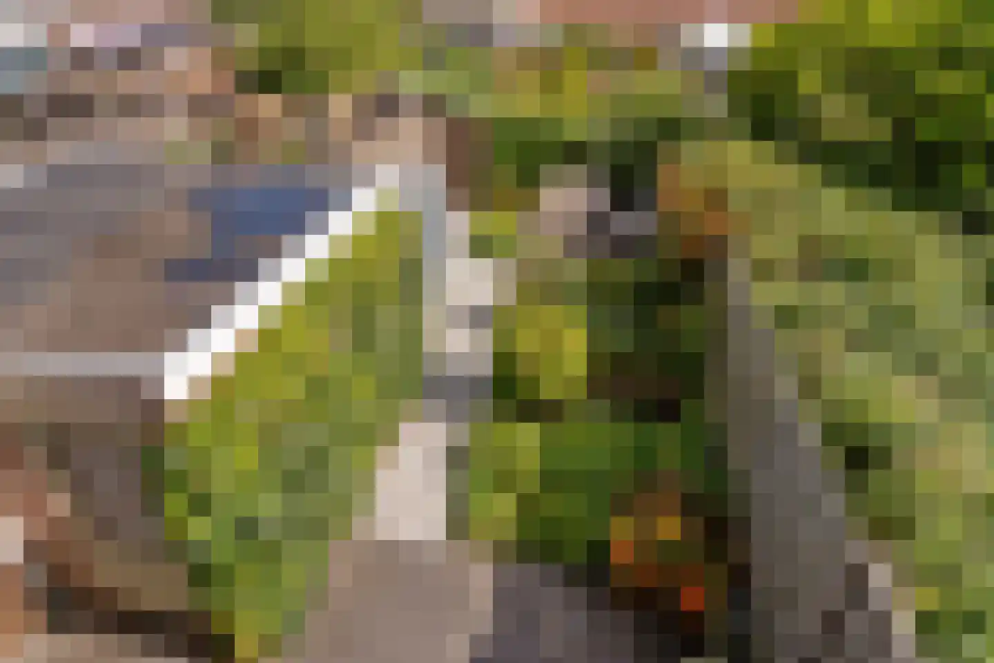 Groen van Prinstererstraat 19 Utrecht thumbnail 16