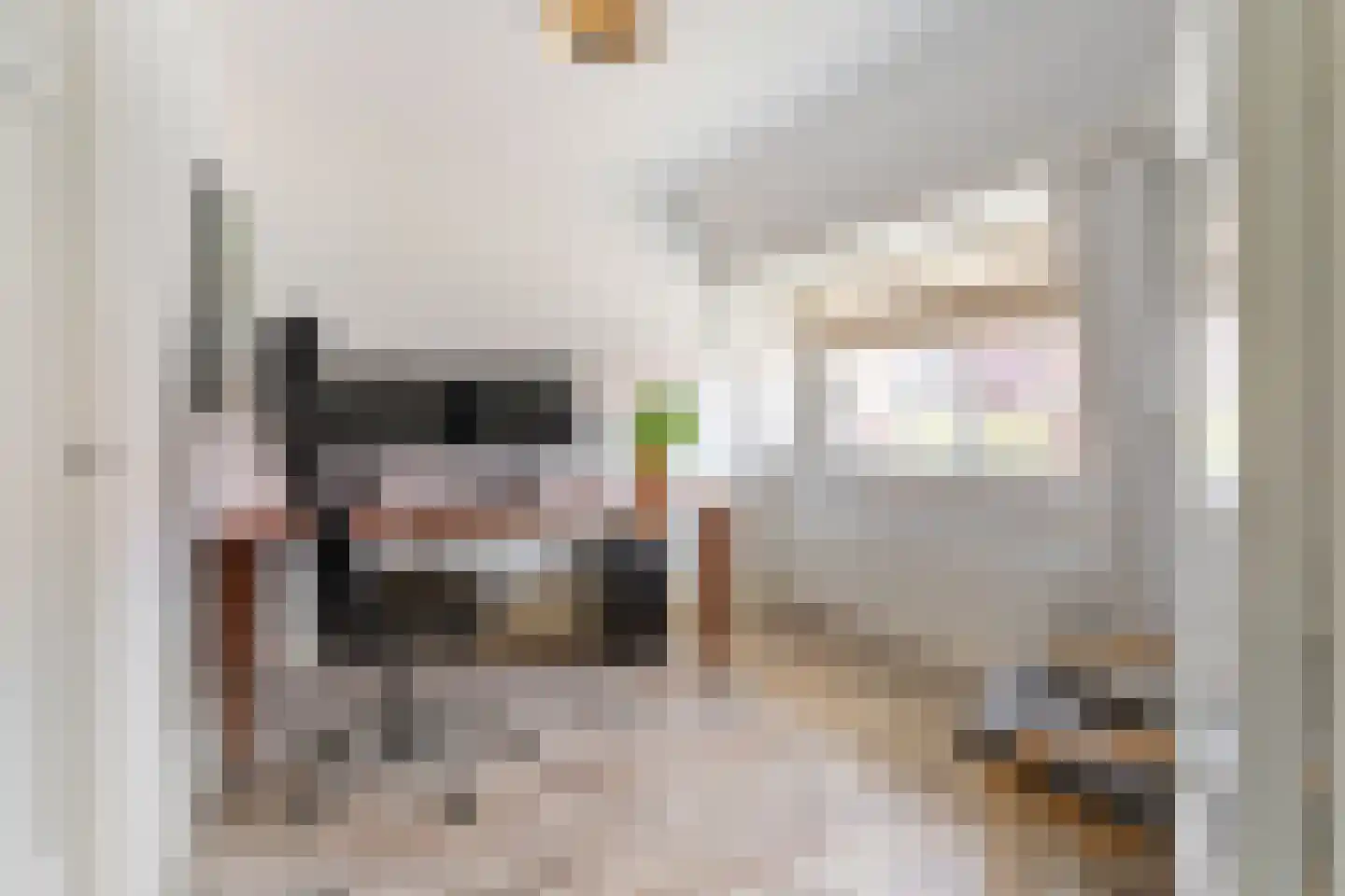 Groen van Prinstererstraat 19 Utrecht thumbnail 17