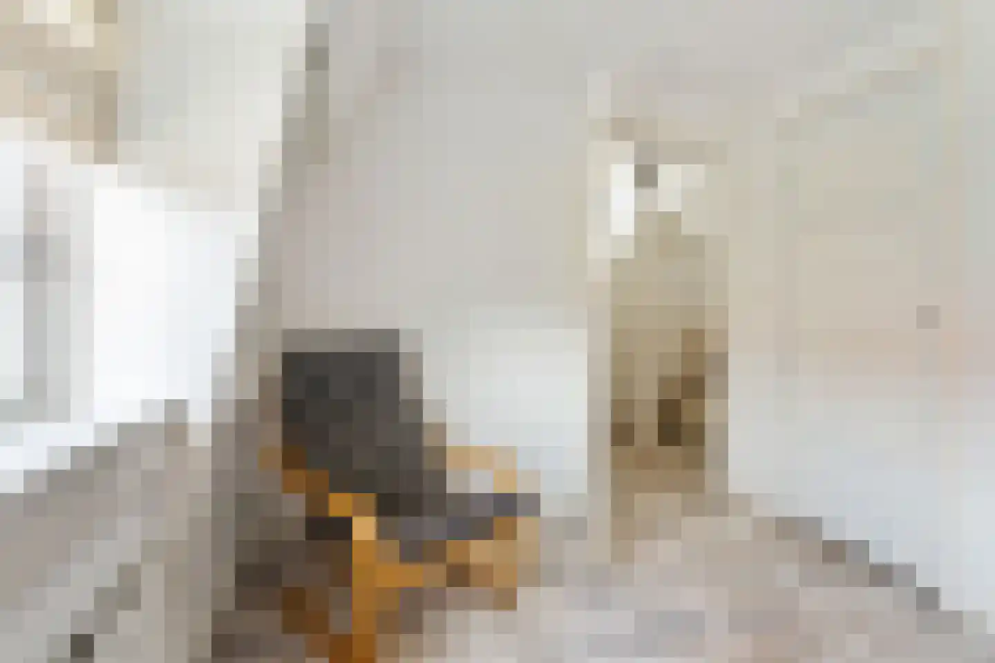 Groen van Prinstererstraat 19 Utrecht thumbnail 18