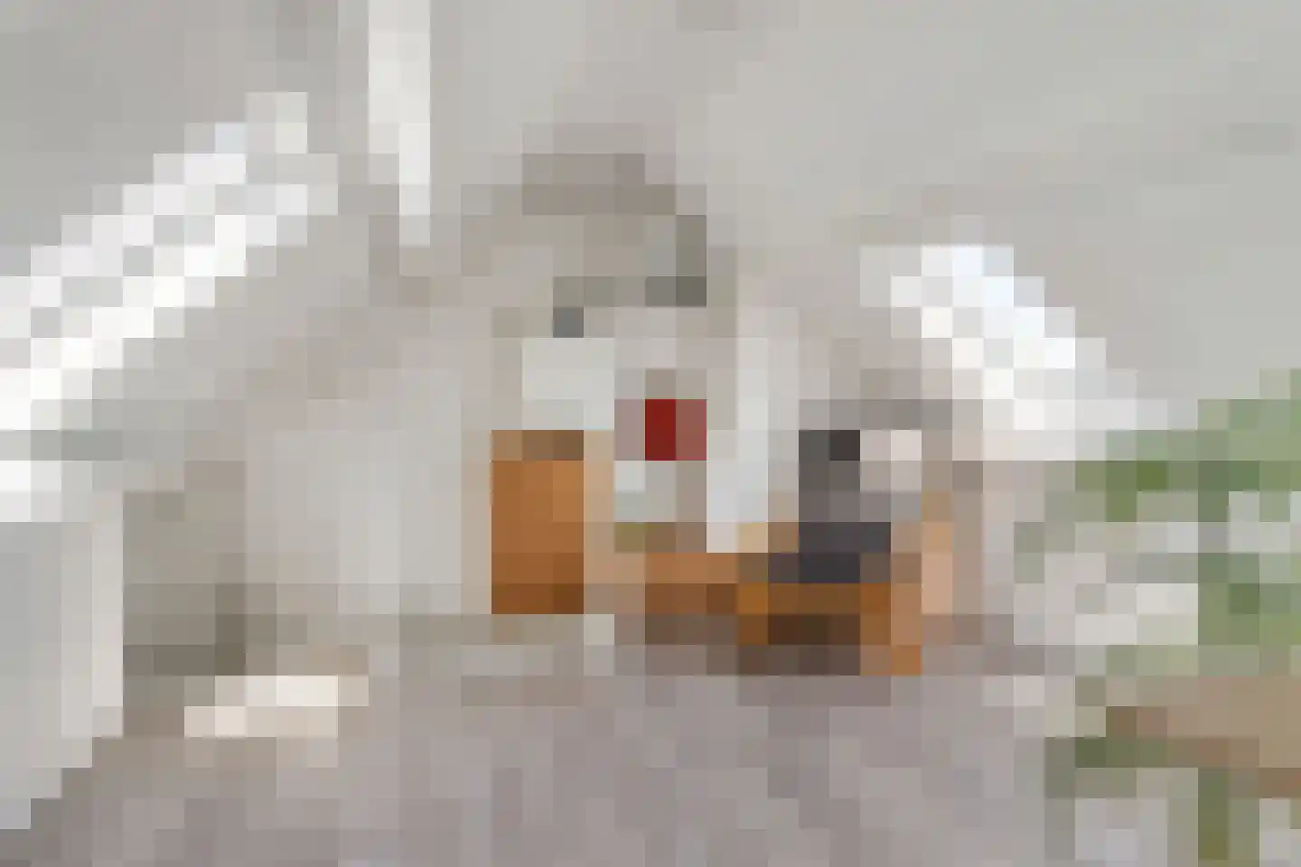 Groen van Prinstererstraat 19 Utrecht thumbnail 23
