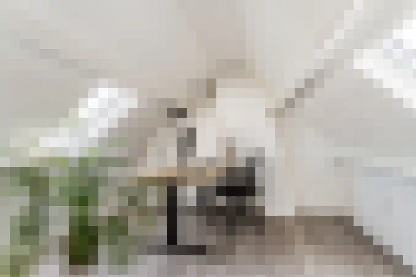 Groen van Prinstererstraat 19 Utrecht thumbnail 24