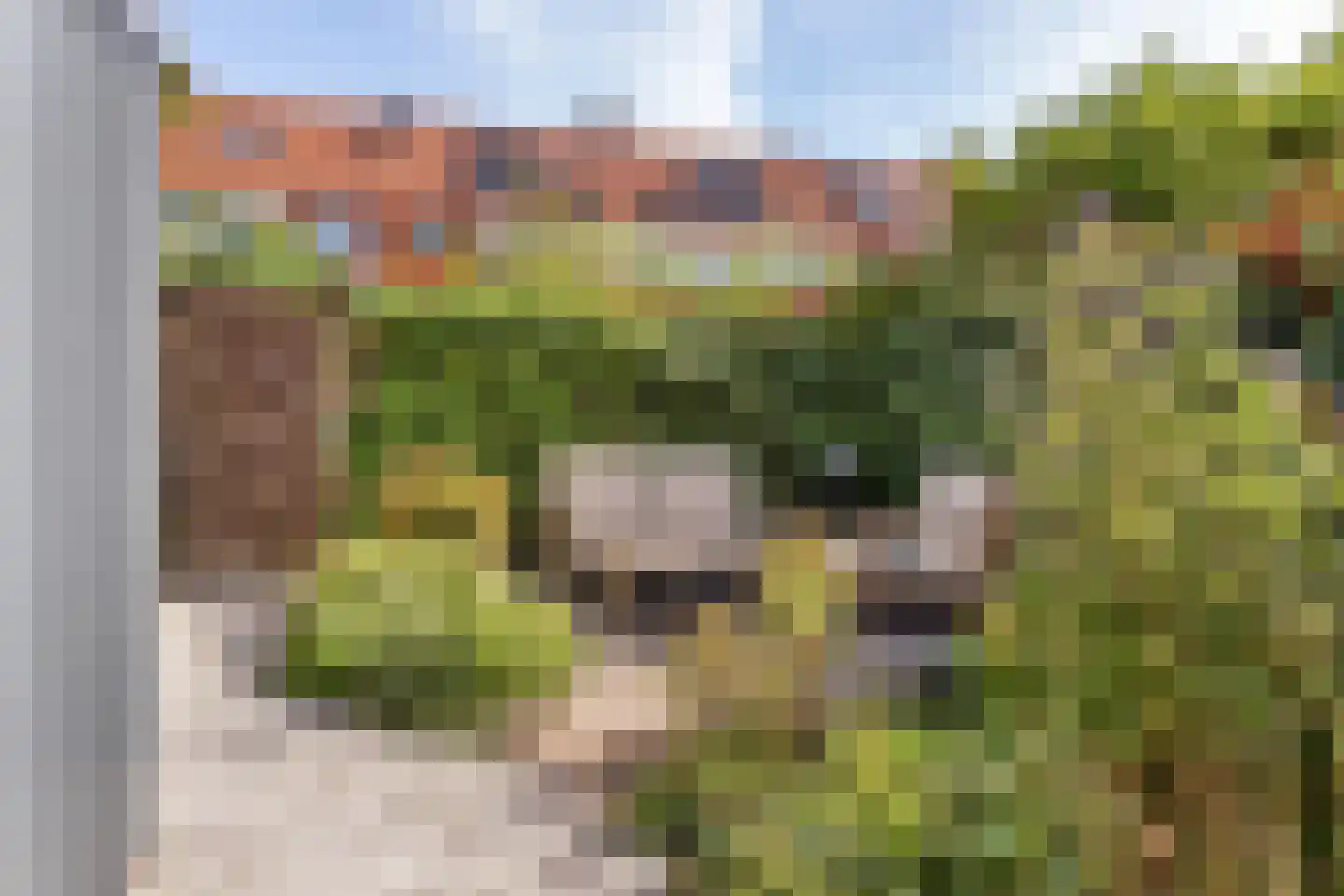 Groen van Prinstererstraat 19 Utrecht thumbnail 25