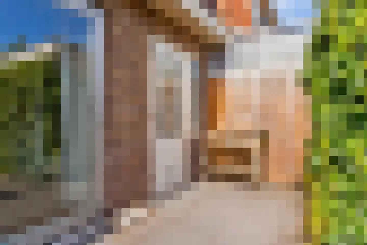 Groen van Prinstererstraat 19 Utrecht thumbnail 26