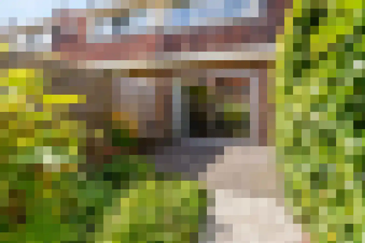 Groen van Prinstererstraat 19 Utrecht thumbnail 28