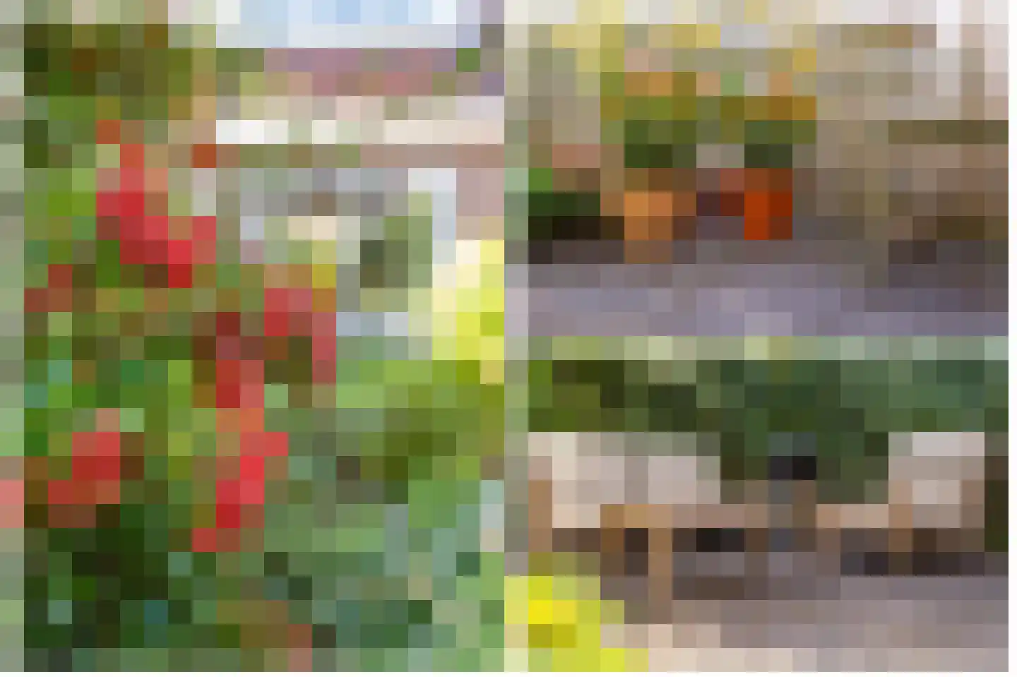 Groen van Prinstererstraat 19 Utrecht thumbnail 29