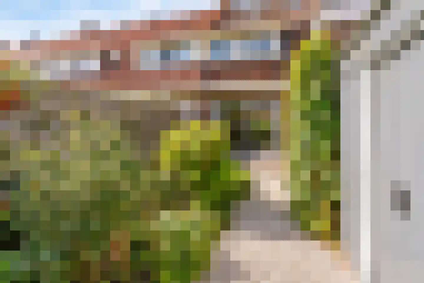 Groen van Prinstererstraat 19 Utrecht thumbnail 30