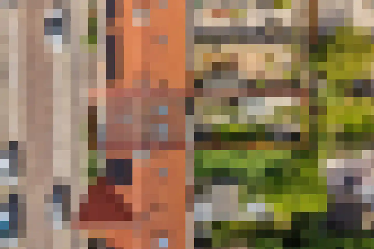 Groen van Prinstererstraat 19 Utrecht thumbnail 31