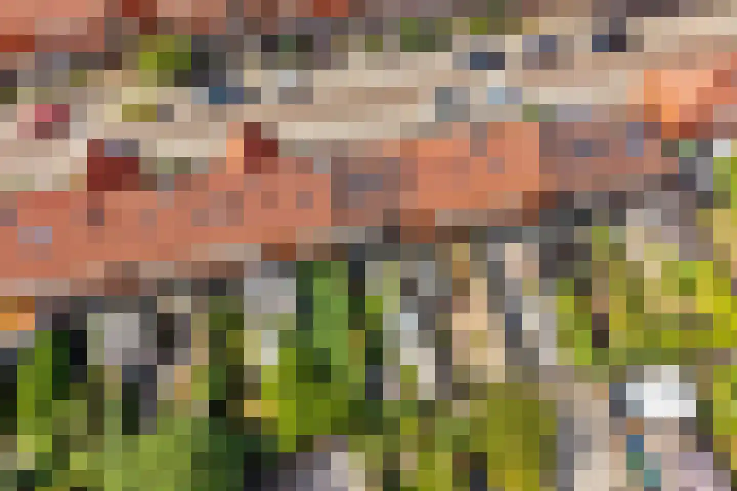 Groen van Prinstererstraat 19 Utrecht thumbnail 32
