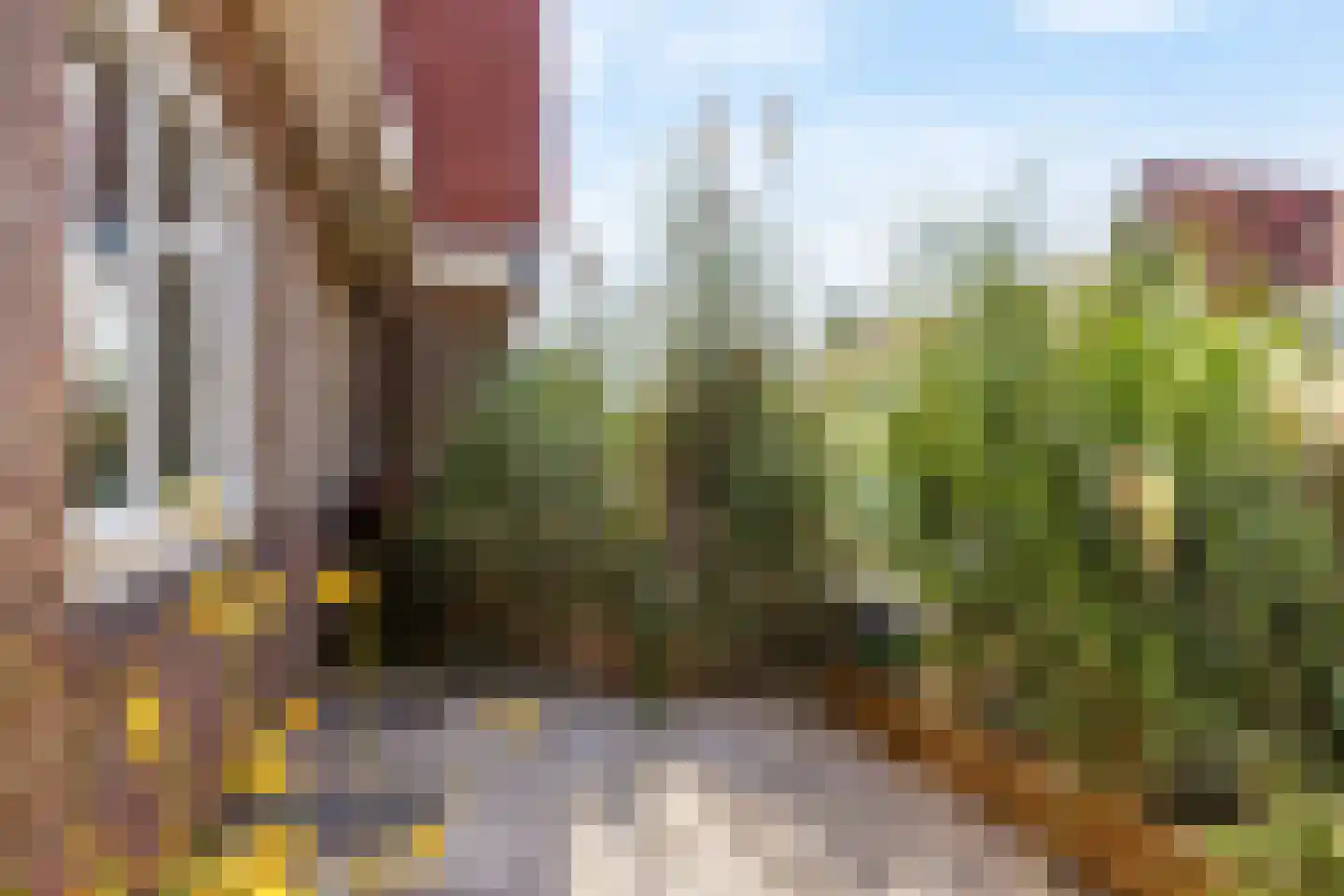 Groen van Prinstererstraat 19 Utrecht thumbnail 5