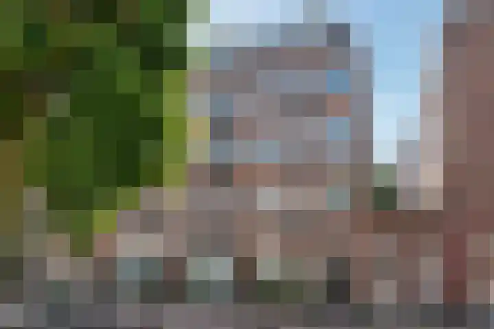 Groen van Prinstererstraat 2 1 Amsterdam thumbnail 16