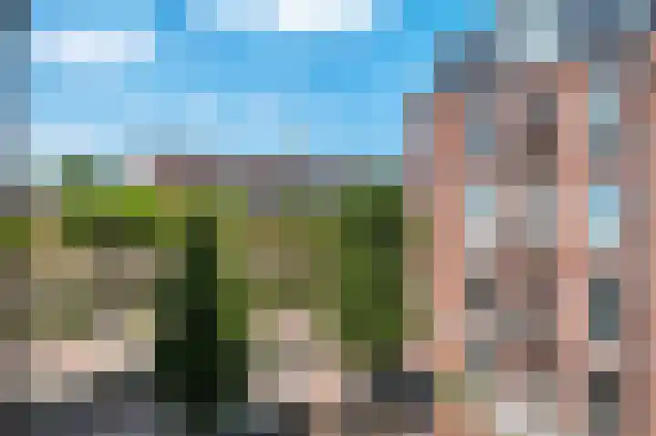 Groen van Prinstererstraat 2 1 Amsterdam thumbnail 4